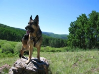 Wyatt at Joe Bob lake.