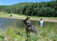 Wyatt watches Jim fish at Joe Bob lake.