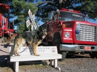 Wyatt Sits on Bench at Canyon Motel and RV Park