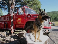 Wyatt Sits on Bench at Canyon Motel and RV Park