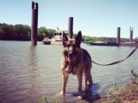 Wyatt wades in River