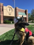 Colorado State University Flint Animal Cancer Center