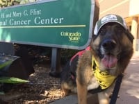 Tripawd Tours CSU FACC