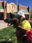 Tripawd Tours CSU FACC