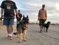 Wyatt Walking with Donnovan