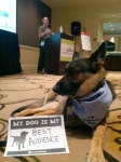 MyDogIsMyBestAudience