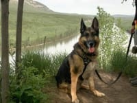 Wyatt at the Liard River in British Columbia