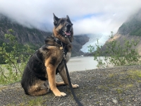 Wyatt at Bear Glacier, Stewart BC