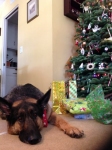 Wyatt Christmas