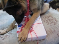 Wyatt Christmas 2012