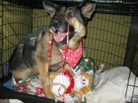 Wyatt Christmas 2012