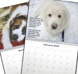 2 Dogs 2000 Miles 2009 Canine Cancer Calendar