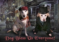 Happy Holidays from Three legged dog gunner!