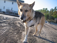 Jerry at Safe Harbor