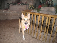 At the Fountain of Youth in St. Augustine, FL