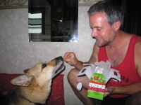 Tripod Dog eats cookies