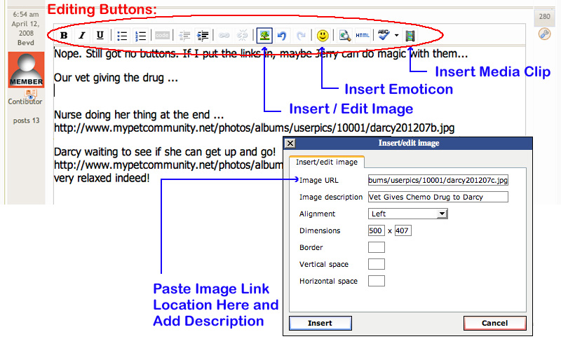 How to Insert Images In Forum Post