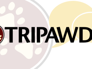tripawds chat