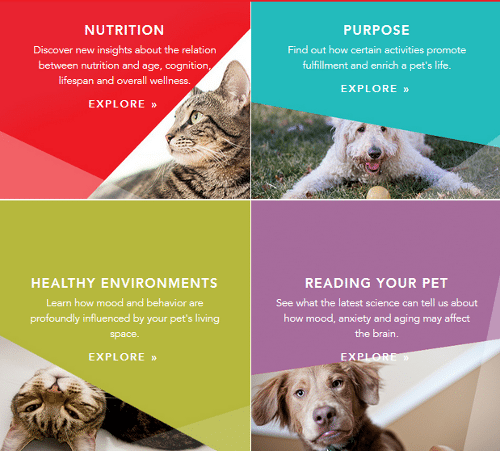 How We Can Make Life Even #BetterWithPets – Tripawds