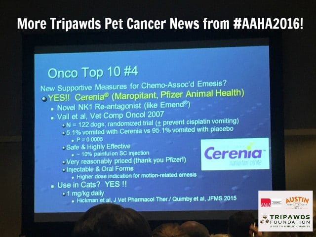 Tripawd cancer news AAHA 2016