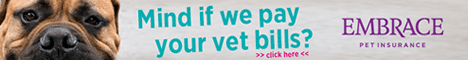 embrace pet insurance