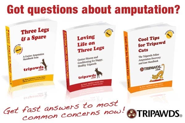 Get fast answers in cat and dog amputation care books by Tripawds