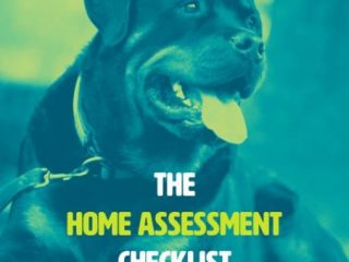 #ItsMyToo Home Assessment Tool