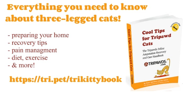 Tripawd Cat E-book
