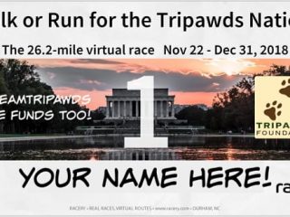 Racery Run for Tripawds Foundation