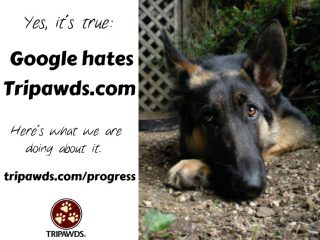 Tripawds Discussion Forums