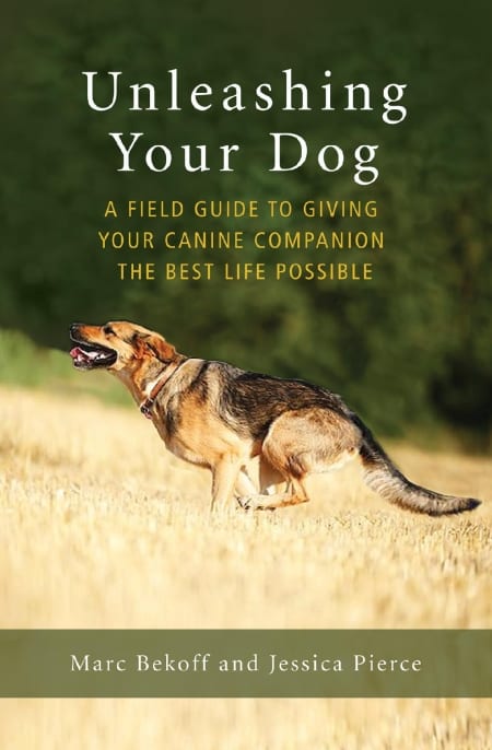 field guide to unleashing your dog