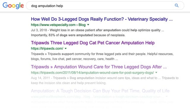 google tripawds