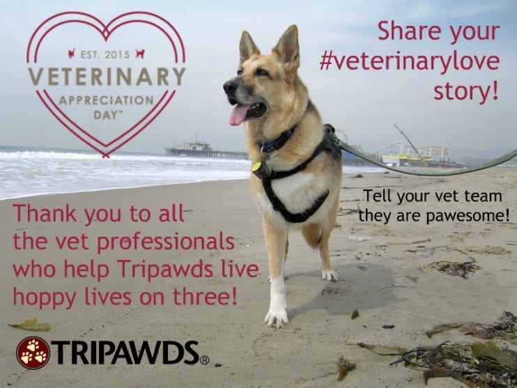 It's Veterinary Appreciation Day! veterinarylove Tripawds