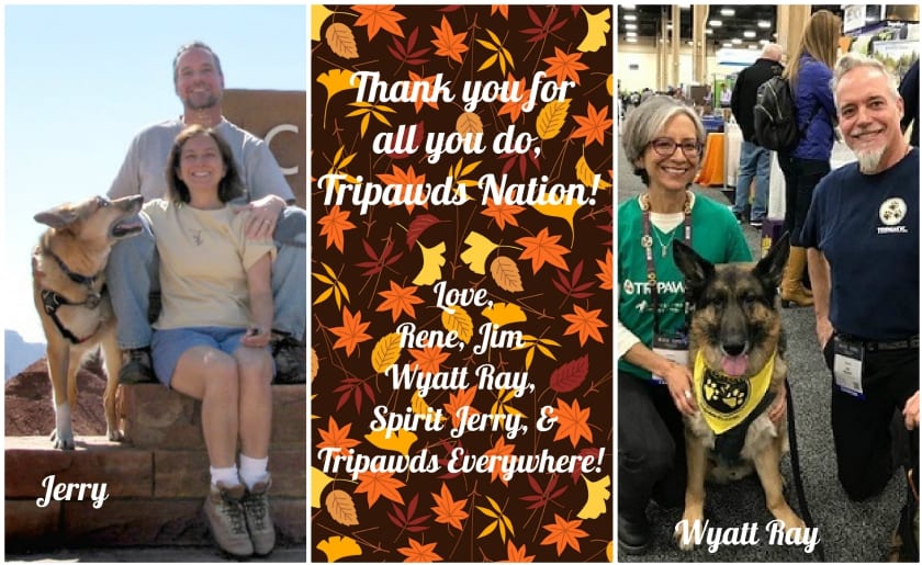 Happy Thanksgiving Tripawds Nation