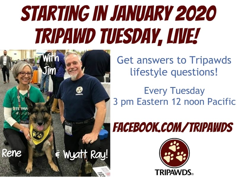 Tripawd Tuesday Live