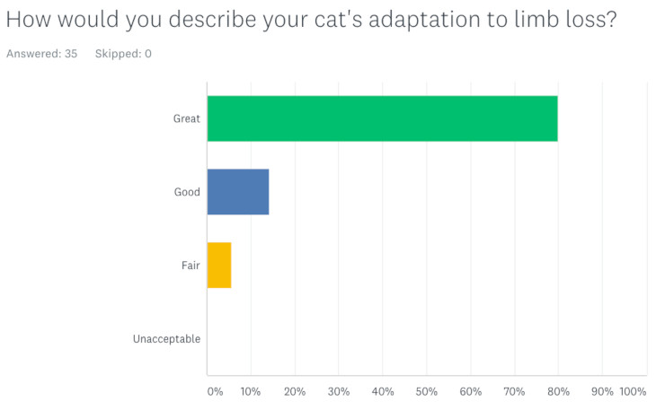 CatsQOL-Adaptation.jpg