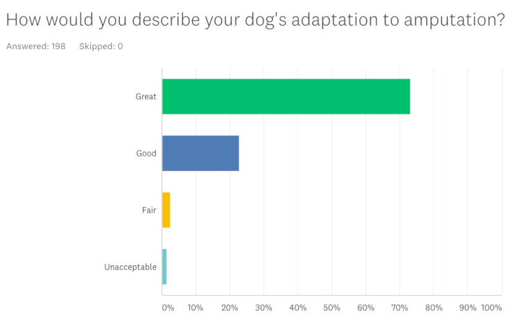 DogsQOLAdaptation.jpg