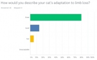 Tripawds Post Amputation Adaptation