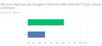 Tripawds Dog Behavior After Amputation