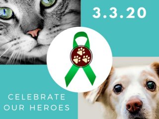 TriDay 2020 Celebrates Amputee Pets