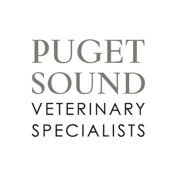 Puget Sound pet cancer care
