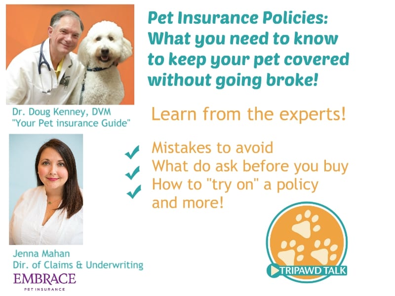 Pet insurance for Tripawds