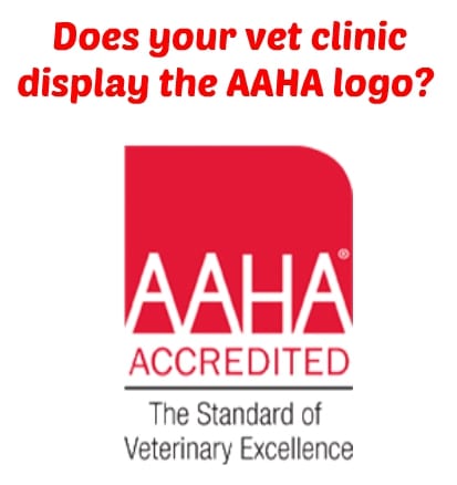 choose the best vet clinic