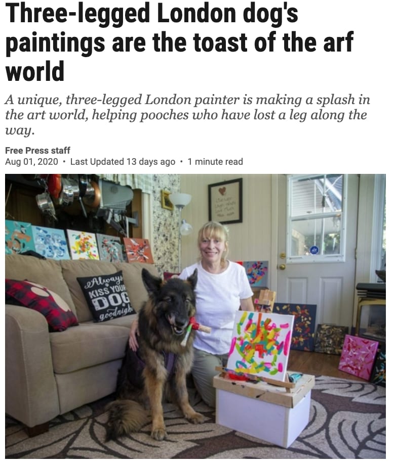 painting dog helps Tripawds