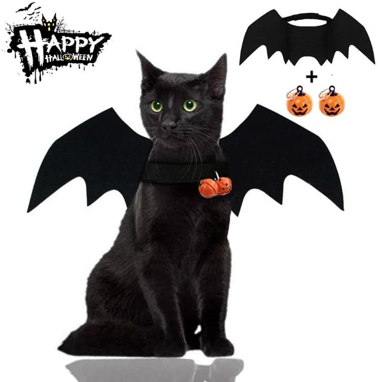 Halloween cat costume