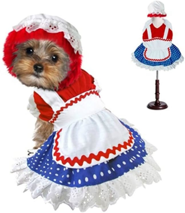 cute pet costume idea