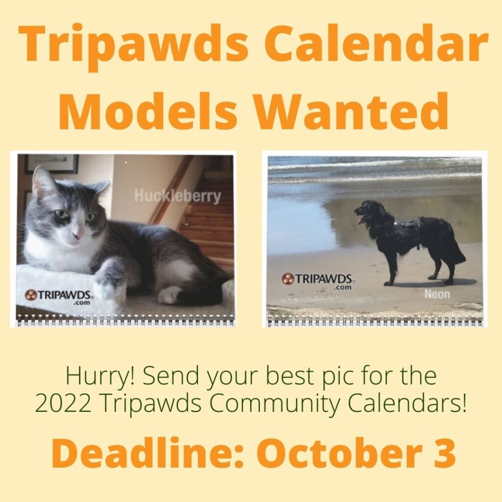Tripawds Calendar Models