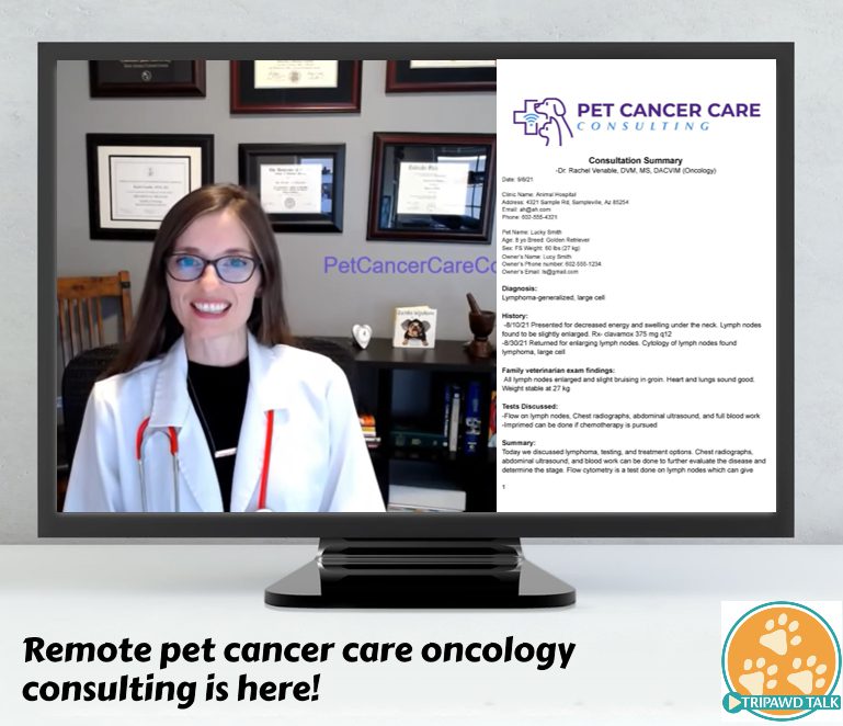Remote pet cancer consulting