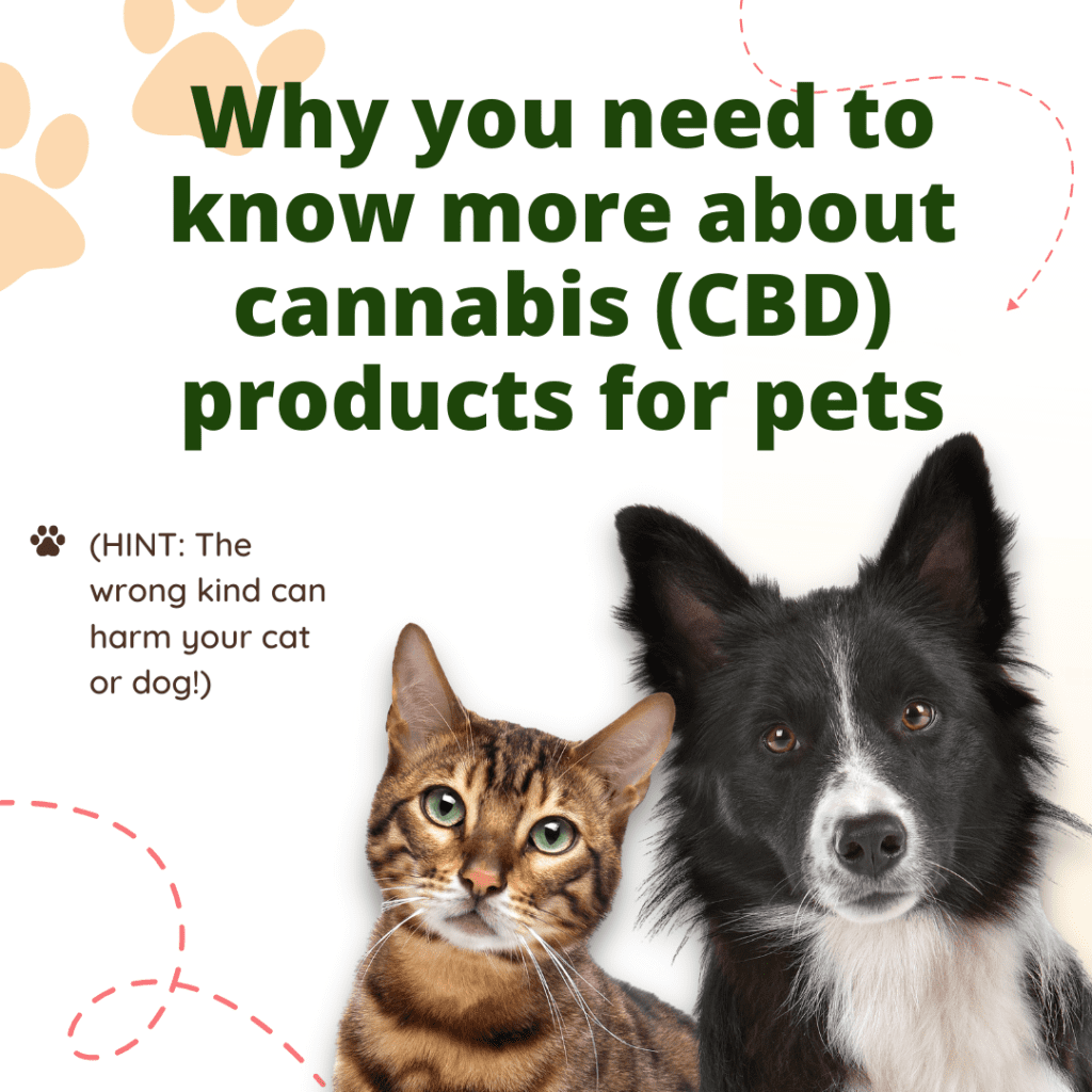 Cannabis pet product safety tip