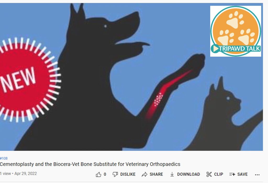 Cementoplasty for Osteosarcoma Dogs and Cats